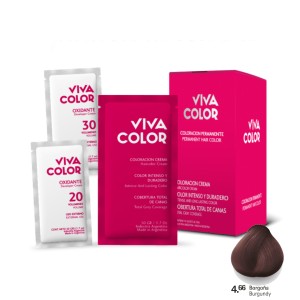 VIVA COLOR KIT COLOR 4.66 BORGOÑA